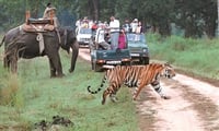 These things should be done in Corbett National Park - A Thrilling Vacation! 